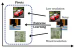 Variation-Robust Deep Learning