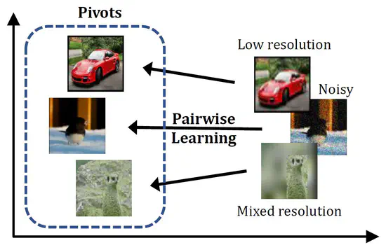 Variation-Robust Deep Learning