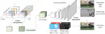 [C50] FFNeRV: Flow-Guided Frame-Wise Neural Representations for Videos