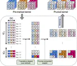 [C62] Row-Efficient Pruning for In-Memory Convolutional Weight Mapping
