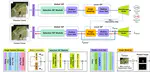 [C77] Multi-Frame ISP: Enhancing Vision-Based Tasks with RAW and Infrared Videos