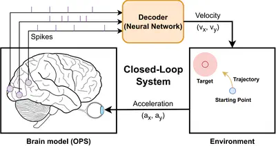 [C80] Efficient and Robust SNN Decoder Training for Closed-Loop Brain-Machine Interfaces