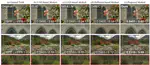 [C90] Single-step Diffusion for Image Compression at Ultra-Low Bitrates