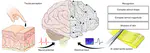 [J19] Epidermal Piezoresistive Structure with Deep Learning-Assisted Data Translation
