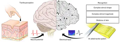 [J19] Epidermal Piezoresistive Structure with Deep Learning-Assisted Data Translation