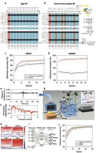 [J24] Room-Temperature-Processable Highly Reliable Resistive Switching Memory with Reconfigurability for Neuromorphic Computing and Ultrasonic Tissue Classification