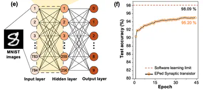 [J29] One-Shot Remote Integration of Macromolecular Synaptic Elements on a Chip for Ultrathin Flexible Neural Network System