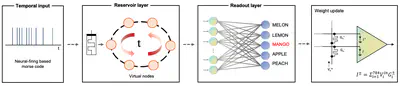 [J30] Reconfigurable Resistive Switching Memory for Telegraph Code Sensing and Recognizing Reservoir Computing Systems