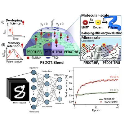 [J34] Mixed Binary Supporting Electrolyte Approach for Enhanced Synaptic Functionality in One-shot Integrable Electropolymerized Synaptic Transistors